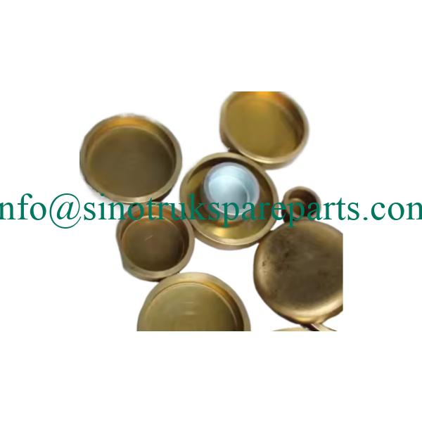 bộ phận động cơ sinotruk VG1034040028